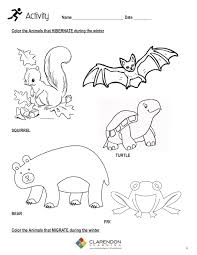 Get alphabet coloring pages of animals with letters too! Hibernating Animals Preschool Worksheets Printable Worksheets And Activities For Teachers Parents Tutors And Homeschool Families