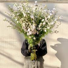 Wholesale flowers denver open to public. Little Hollow Flowers Colorado Flower Farm