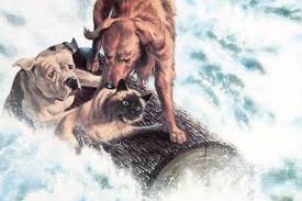 By rita kempley washington post staff writer march 08, 1996. How Did The Cat From Homeward Bound Survive