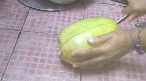 Buah ini adalah tinggi serat dan vitamin c. Buah Markisah Di Malang Youtube