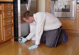 Genuine service at affordable prices! Joeblue Pest Control Pest Control Bed Bugs In Long Island Pest Control Bed Bugs In Brooklyn Ny Pest Control Bed Bugs In Manhattan Nyc Pest Control Bed Bugs In Staten Island Ny
