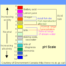 Notes On Ph Scale Extra References Science Acid Base