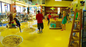 Victorian bird company has all the pet birds that fit your personality. Best Pet Shops For Bird Owners In Los Angeles Cbs Los Angeles