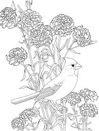 Download Cardinal Coloring Page Bird Coloring Pages Flower Coloring Pages Animal Coloring Pages