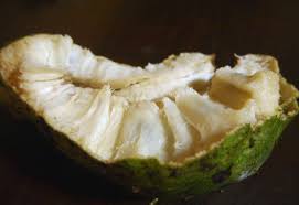 Sekiranya anda ingin membekalkan susu ibu. Durian Belanda Year Of The Durian