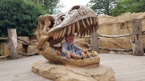 Chris kelly, managing director at west midland safari park, added: West Midlands Safari Park The Family Ticket Review