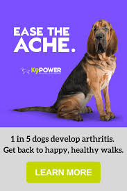 Joint Strong In 2020 Joint Health Healthy Joints Joint Care