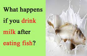 What Happens If You Drink Milk After Eating Fish Such Tv