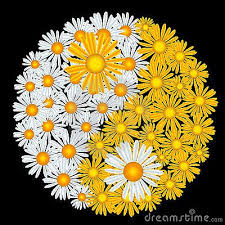 Flower Yin Yang Yin Yang Art Ying Yang Art Yin Yang