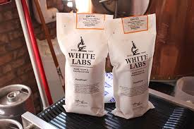 San Diego Magazine' Makes a Beer