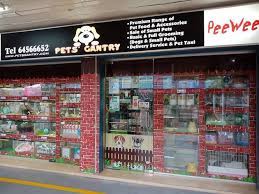 If you are in the market for your new best friend, you will want to find a pet store with a good reputation for. The Best Pet Shops In Singapore