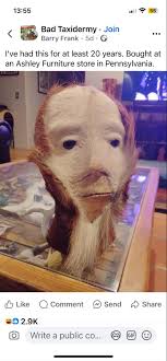 I'm collecting “eggcorns”. I'd love to hear some of yours. I'll  be…biting…my time, while you send me your examples. 😏