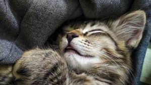 Wallpapers in ultra hd 4k 3840x2160, 8k 7680x4320 and 1920x1080 high definition resolutions. Cute Full Hd Hdtv Fhd 1080p Wallpapers Hd Desktop Backgrounds 1920x1080 Images And Pictures