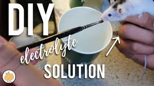 So you may need to take extra care to make sure that picky drinkers get enough water. Diy Small Pet Electrolytes Small Pet Vet Care Medicine Youtube