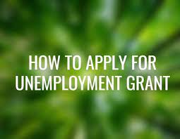 R350 relief grants for unemployed our top priority, says social development. How To Apply For Unemployment Grant South Africa Sassa R350