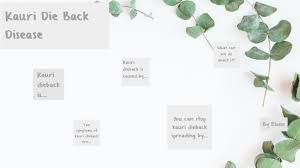 Kauri Die Back Disease Inquiry by Eloise Layton