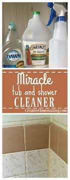 Pin On Cleaning Organization