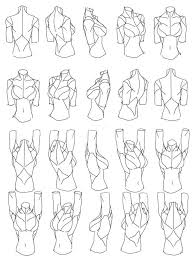 Arms Raised Female Torso Drawing Reference Anatomy Drawing Drawing the female torso is an elusively difficult task. arms raised female torso drawing
