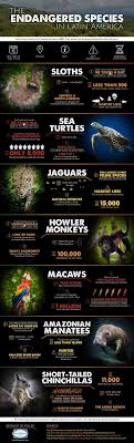 Infographic The Endangered Animals Of Latin America And How You Can Help Endangered Species Endangered Animals Animal Conservation