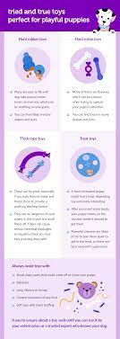 Check spelling or type a new query. Safe And Humane Ways To Teach Your Puppy How To Stop Biting