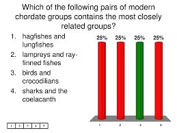 Maybe you would like to learn more about one of these? Ppt A Cladogram Shows That All Chordates Evolved From Powerpoint Presentation Id 312304