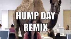 2,092 camel hump stock video clips in 4k and hd for creative projects. Geico Hump Day Commercial Happy Camel Dubstep Remix Youtube