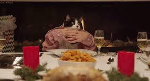 Anniversaries, weddings, birthdays and more have been. Mrw I M Having An In Depth Discussion About The Commodities Markets Effects On The Fate Of The Failing Russian Economy At A Dinner Party I M Throwing And I Realize I M A Cat