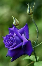 Check spelling or type a new query. Tatiana Tatianawright55 Profile Pinterest