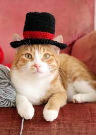 Top Hat For Cats Cat Wedding Apparel Cat Formal Wear Feline Etsy In 2021 Cat Wedding Kitten Costumes Cat Owner Gift