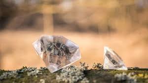 Concerns have been raised about the ladysmith diamond rush which has seen thousands flocking to the kwahlathi village since last week. Dyvbwuxbh0q Em