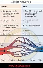 Pin On Phlebotomy