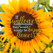 If Sunflowers Had Emotions They Would Be Happy Flowers Anextraordinaryday Net In 2020 Sunflower Pictures Happy Flowers Sunflower Quotes