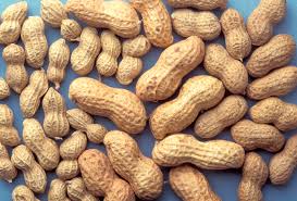 Image result for Georgia Peanut Festival