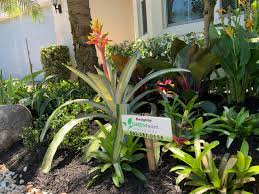 The blooms of the passionflower have a very exotic look and come in a variety of tropical colors. 75 Beautiful Tropical Flower Bed Pictures Ideas July 2021 Houzz