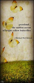 Haiku Poem Grassland By Michael Mcclintock Haiku Poems Writing Poetry Haiku Poetry