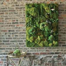 However, this material is so graceful and practical in use that it's also present in private houses and apartments. How To Build A Decorative Moss Wall Air Plants Diy Plant Wall Decorative Moss