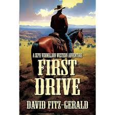Missing Medals a Kids Action Detective Mystery: A Brothers Ridge Adventure  Story for Children and Tweens Ages 8-14 (The Brothers Ridge Adventure  Series): Davenport, Kit: 9798304362641: Amazon.com: Books