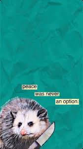 Raccoon Opossum Memes Straight Outta The Trash Opossum Awesome Possum Cute Animals