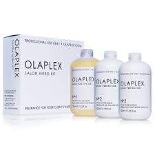 Protect the hair follicle from further breakage. Olaplex Hair Nazih Cosmetics