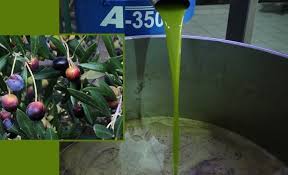 L Huile D Olive L Or Vert De La Tunisie