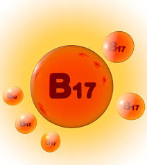 Vitamin b17 appears in abundance in nature but not in many. Vitamin B17 Busted Myths And Brutal Deaths