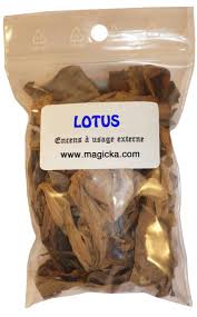 Plante Et Poudre Magique Encens Resine Pour L Amour L Argent Protection Retour D Affection Desenvoutement Encens Herbes Magiques Plante