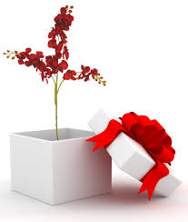 Mmon Goods Wallaroo 1 Comment The Kissing Ball A Holiday Decorating How To Posted On December 11 2013 By The Edito Holiday Decor Christmas Crafts Holiday