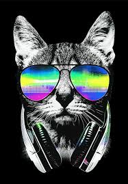 Entwerfen sie persönliche vorlagen und hinterlegen sie bilder, grafiken, logos, eigene schriftarten . Home Hey Dj Krews Webseite
