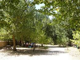 Banyeres De Mariola Con Ninos Area Recreativa De Moli L Ombria Banyeres De Mariola Dias De Campo Paraje Natural