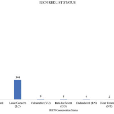 Image result for Kylicanthe rohrii