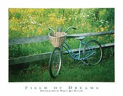 Field of Dreams by Marcia Joy Duggan 16x20 Photograph Art Print Poster