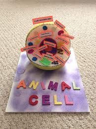 Animal Cell For Mekayla S Biology Class Animal Cell Project Animal Cell Cells Project