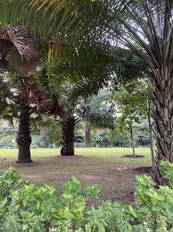 Gratis untuk komersial tidak perlu kredit bebas hak cipta. Wikiloc Pasir Ris Park To Punggol Waterway Point To Sengkang Floating Wetlands Trail