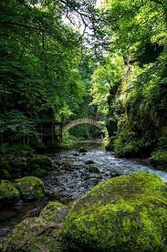 Mes Coups De Coeur Tumblr 6 Auvergne France Auvergne Beau Paysage